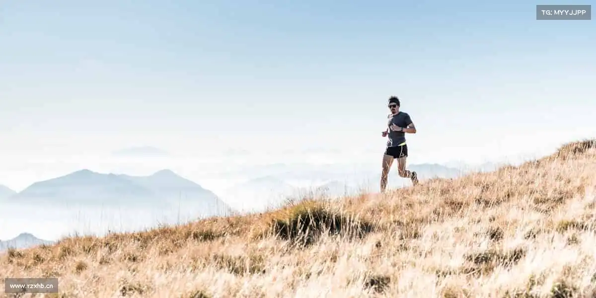 我们的品牌价值